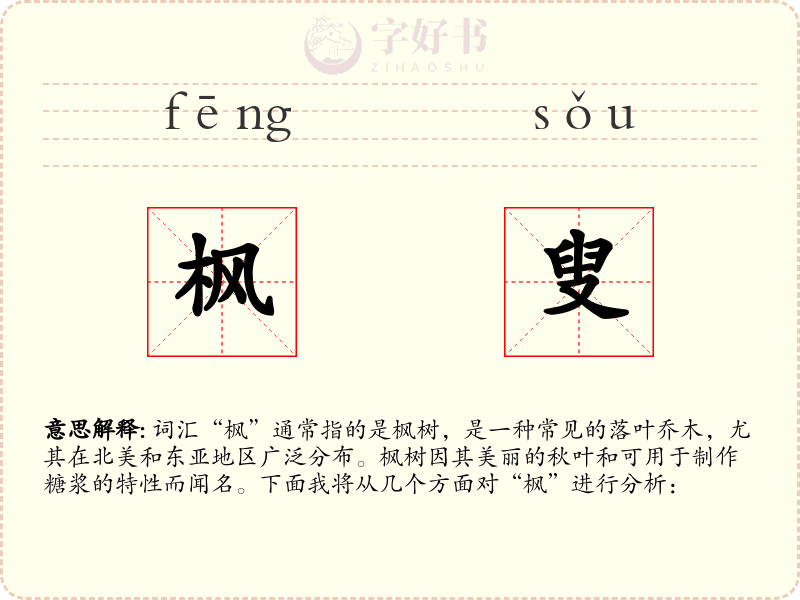 枫叟