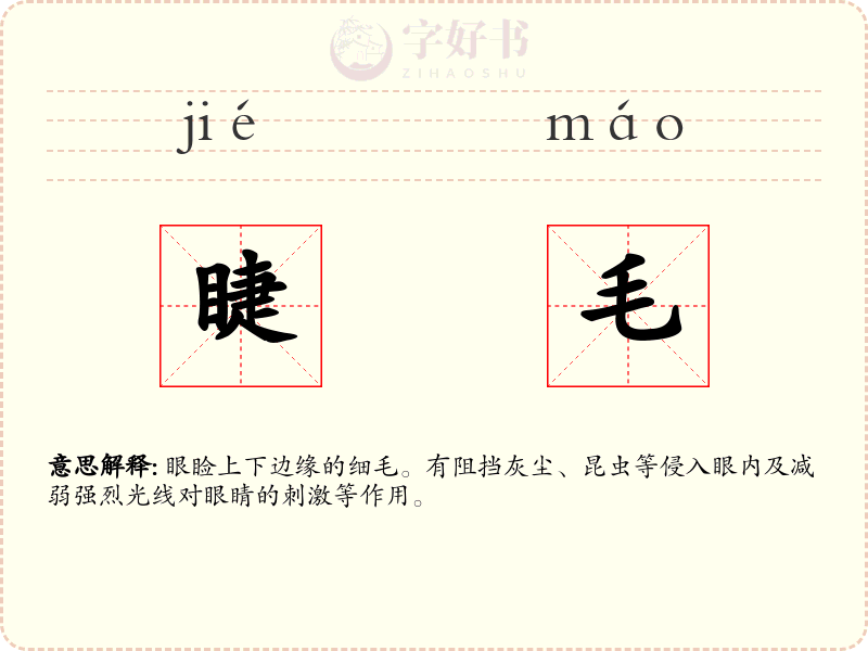 睫毛