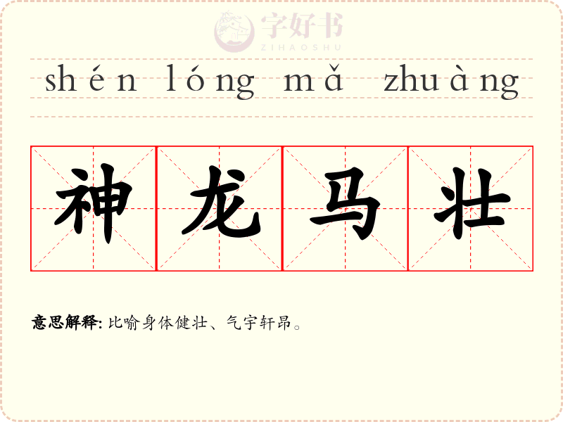 神龙马壮