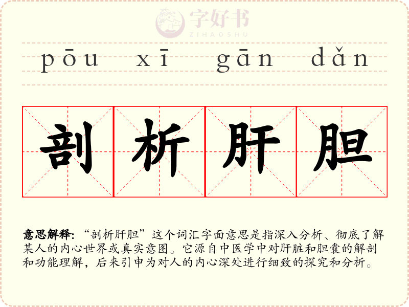 剖析肝胆