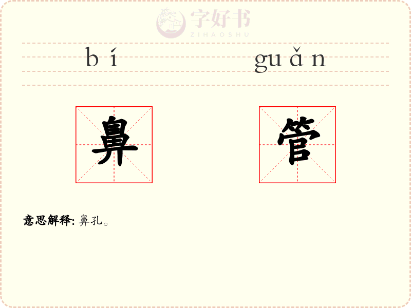 鼻管