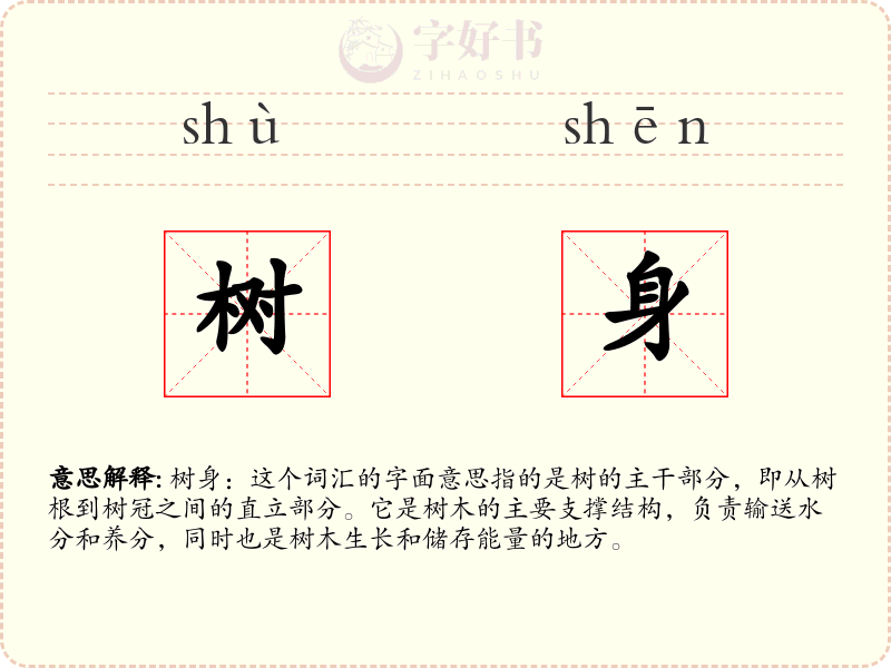 树身