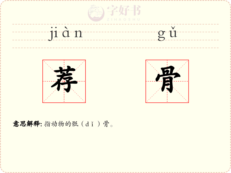 荐骨