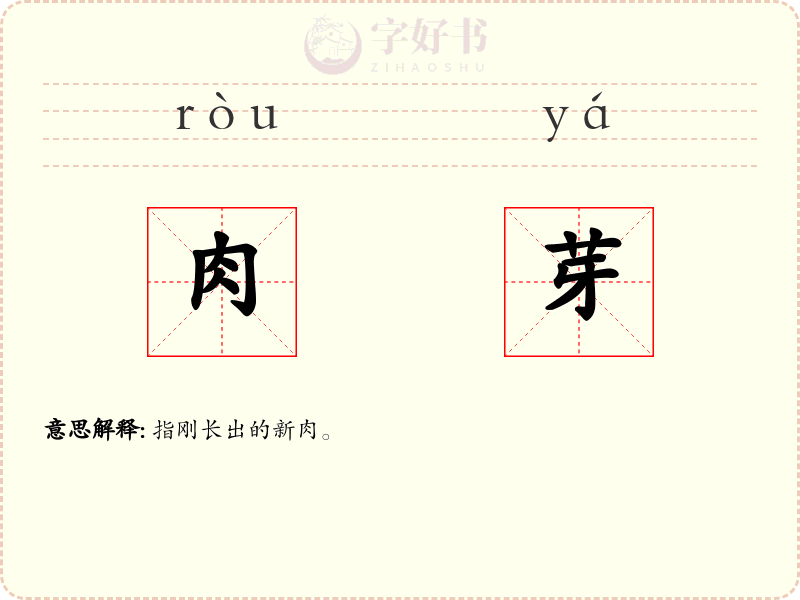 肉芽