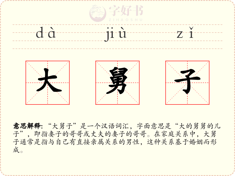 大舅子