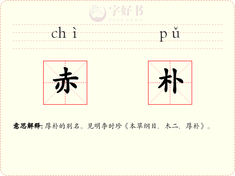赤朴