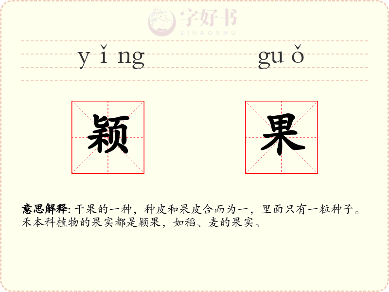 颖果