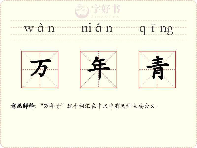 万年青