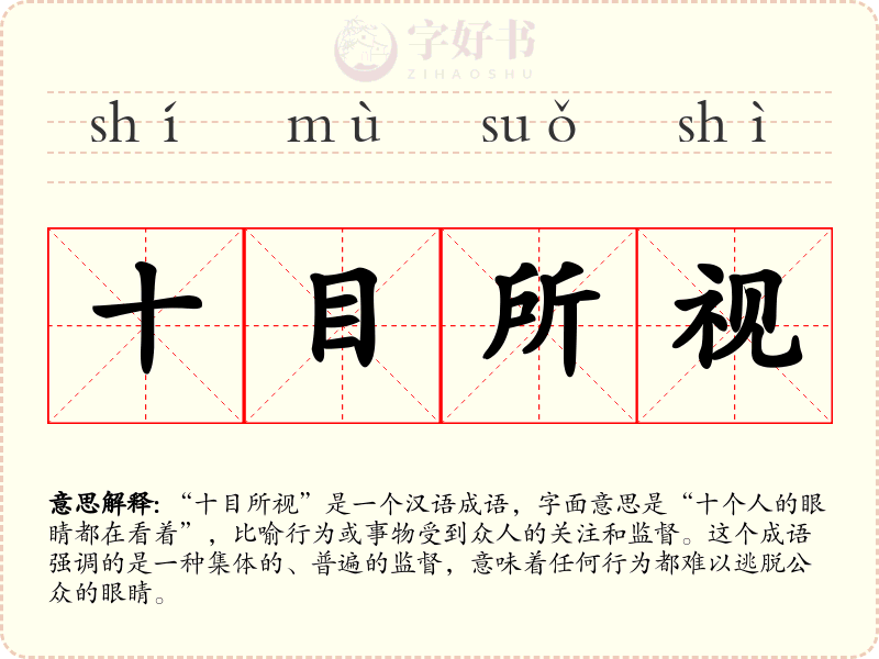十目所视