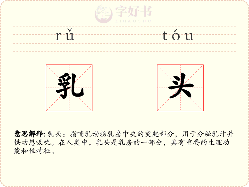 乳头