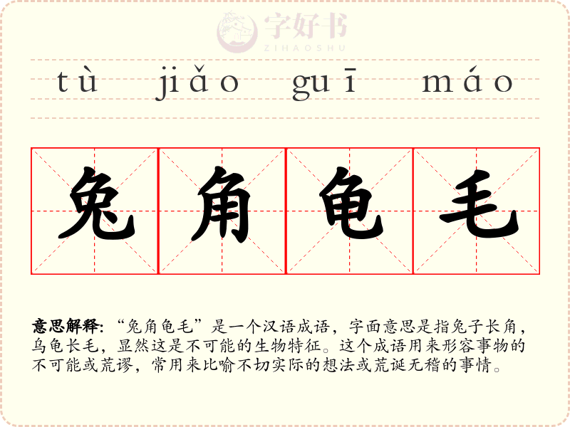 兔角龟毛