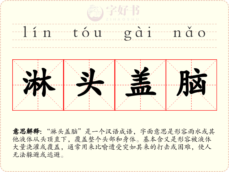 淋头盖脑
