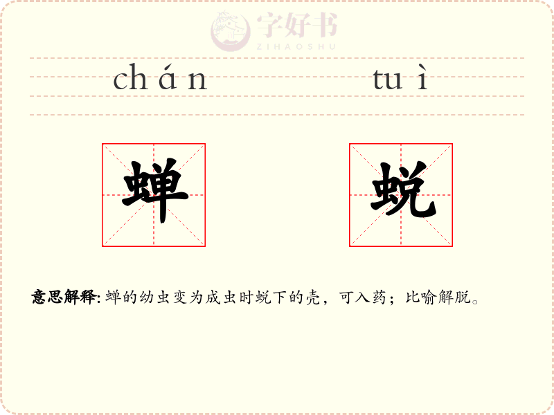 蝉蜕