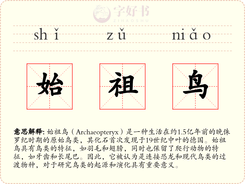 始祖鸟
