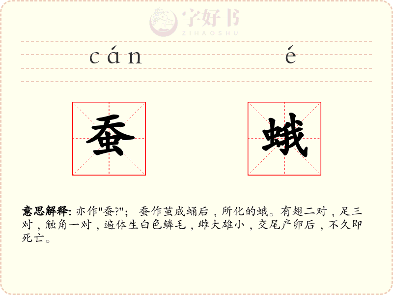 蚕蛾