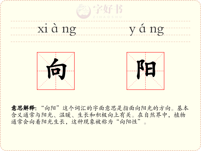 向阳
