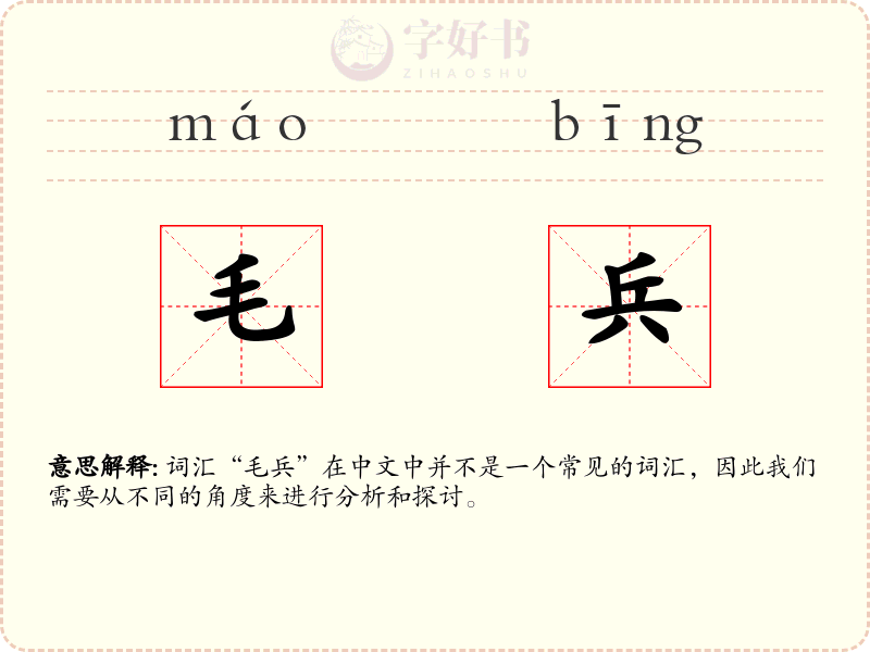 毛兵