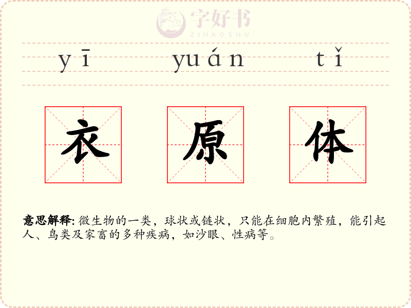 衣原体