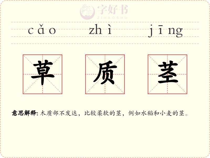 草质茎