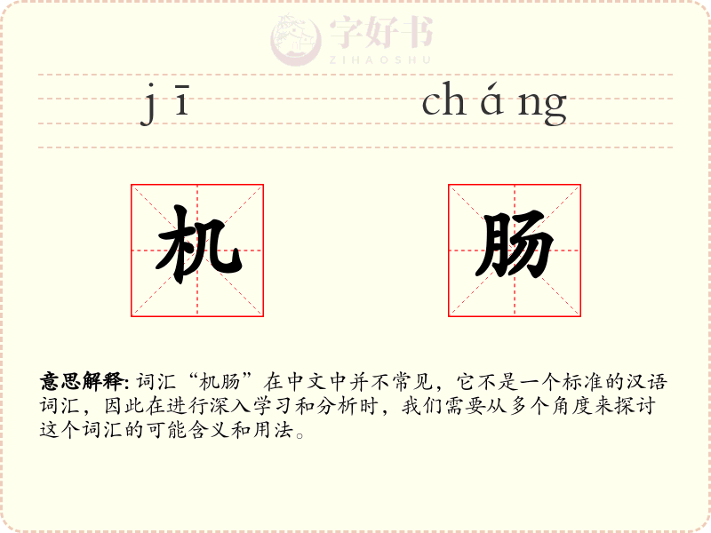 机肠