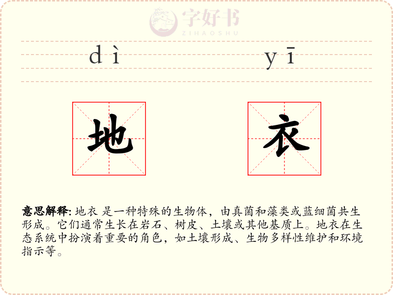地衣