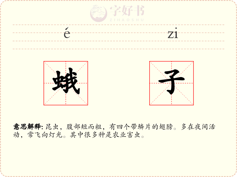 蛾子