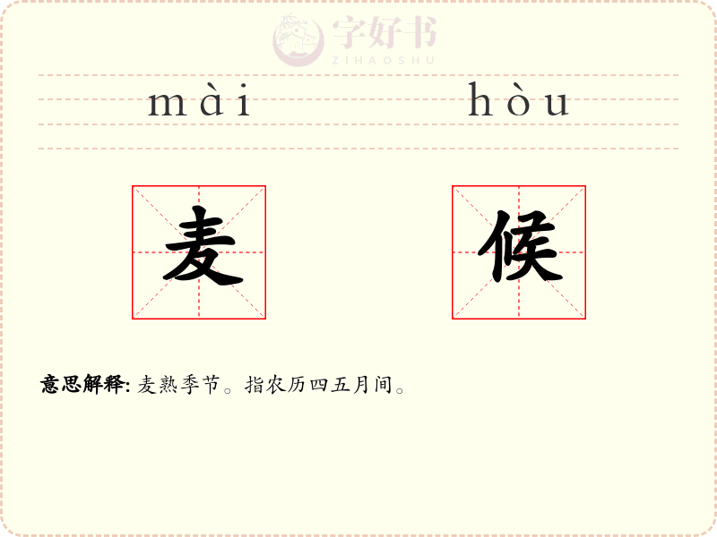 麦候
