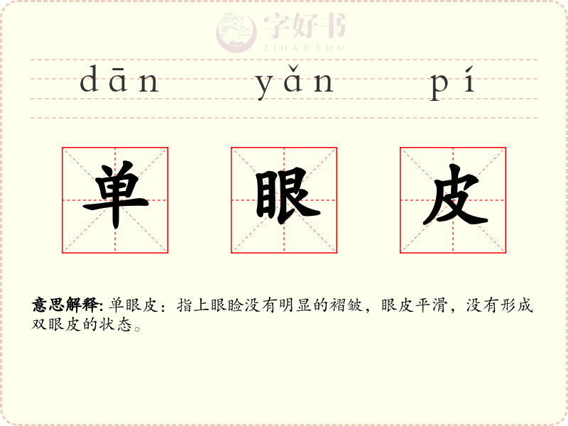 单眼皮