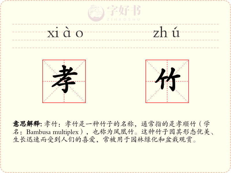 孝竹