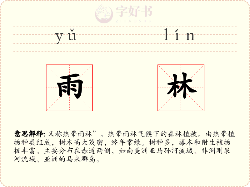 雨林