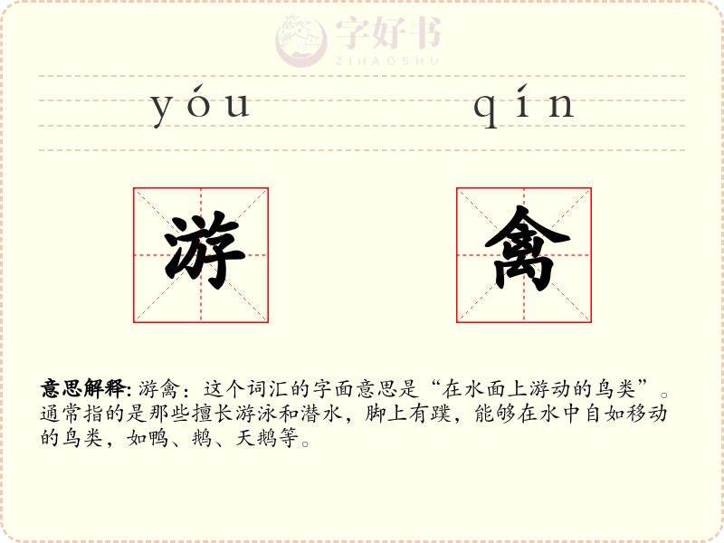 游禽
