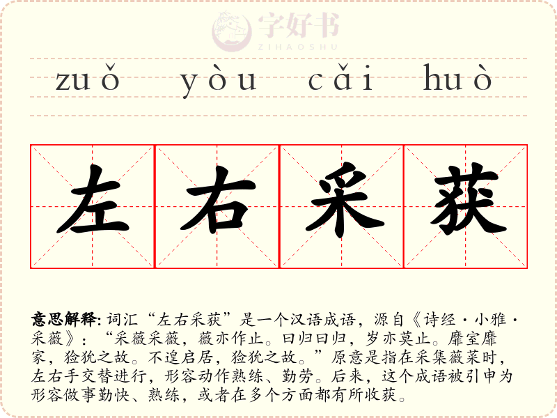 左右采获
