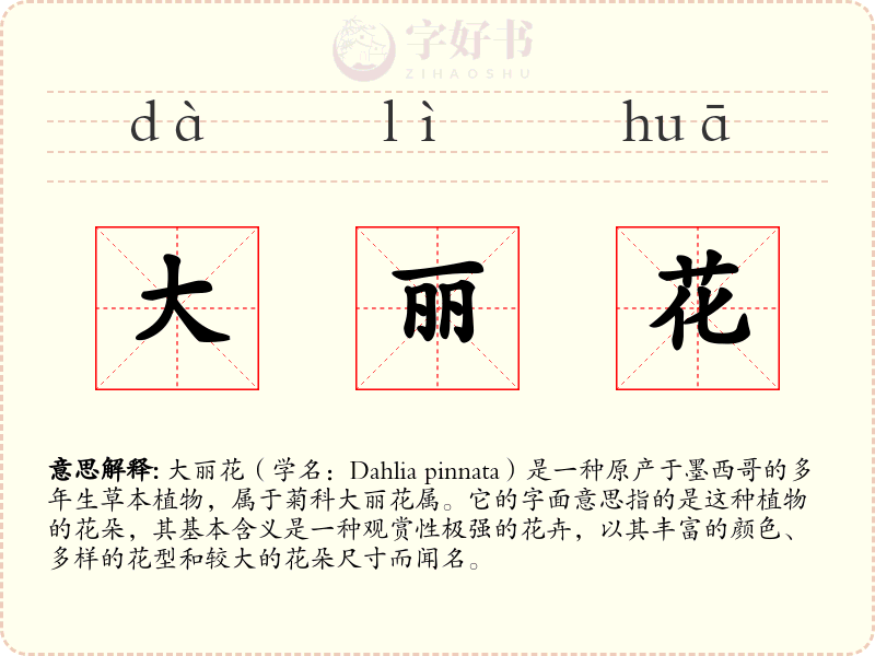 大丽花