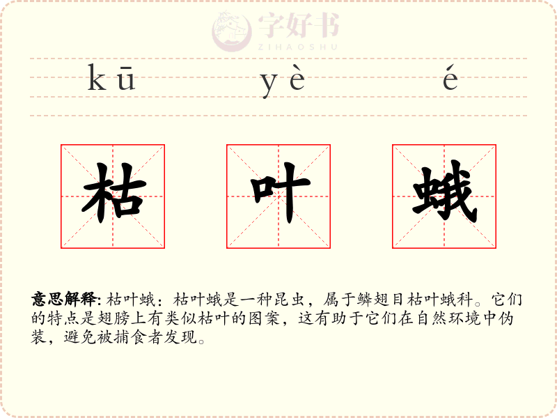 枯叶蛾