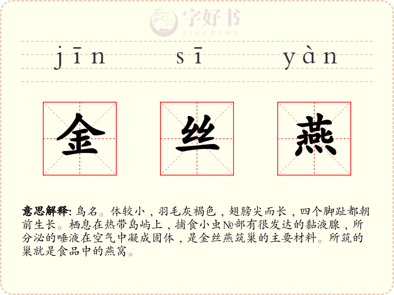 金丝燕