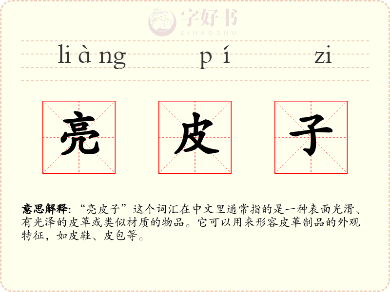 亮皮子