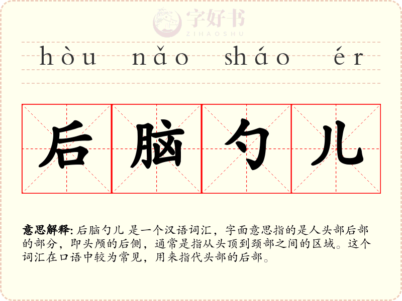 后脑勺儿