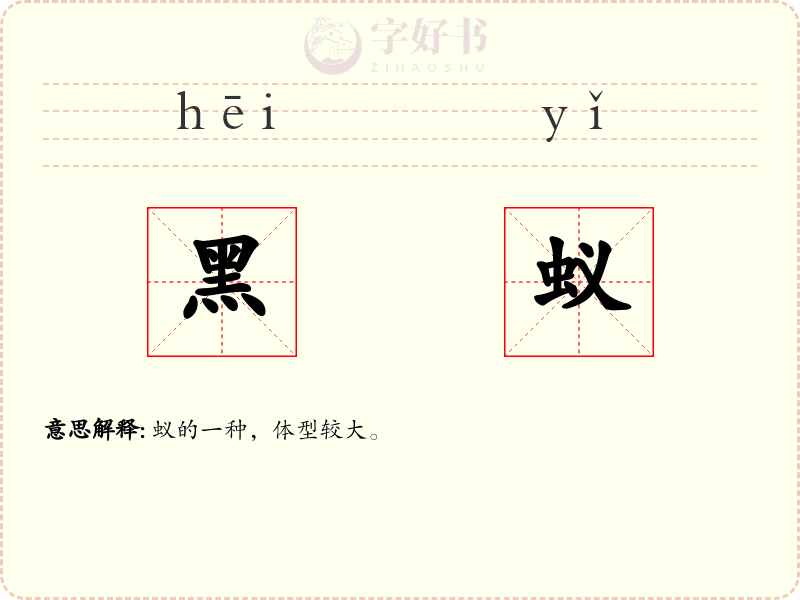 黑蚁