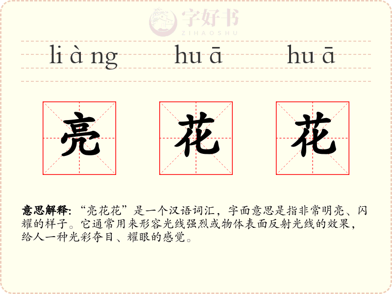 亮花花