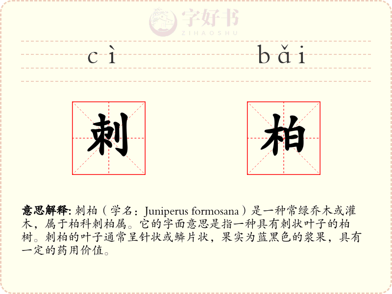 刺柏