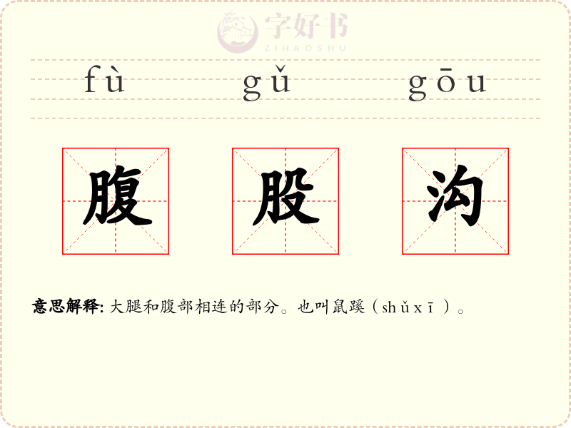 腹股沟