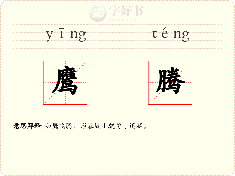 鹰腾