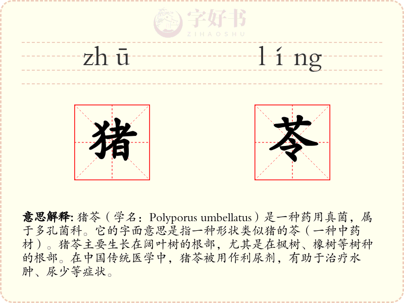 猪苓