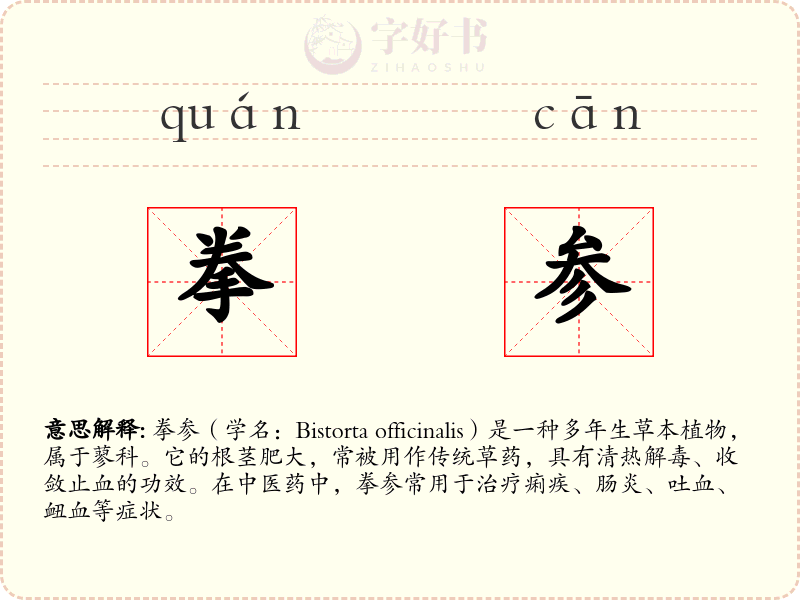 拳参