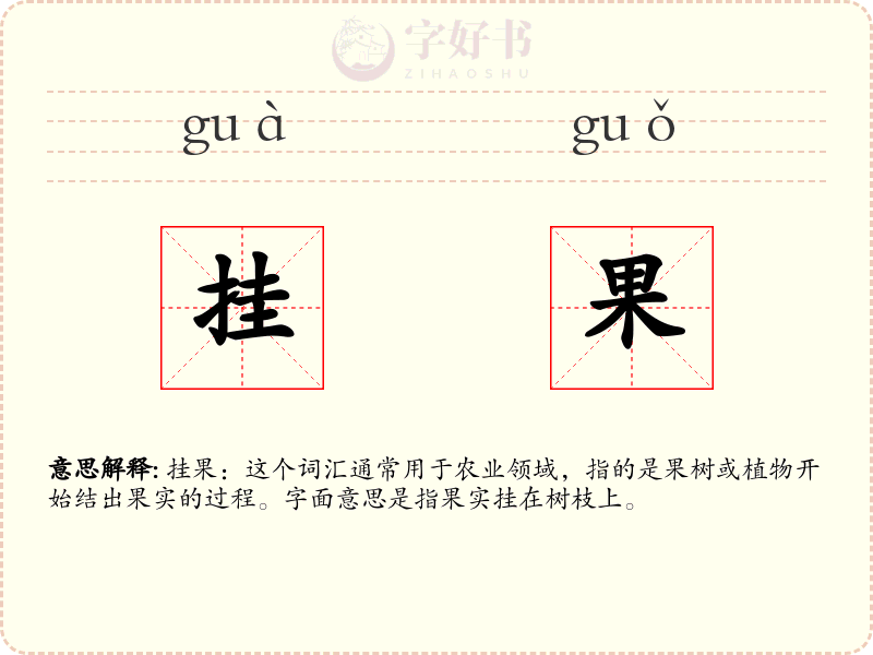 挂果