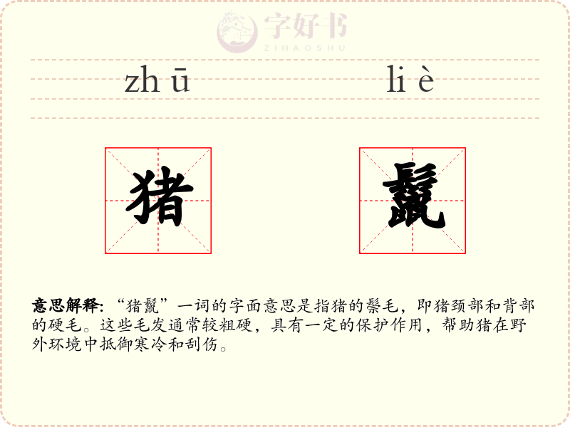 猪鬣