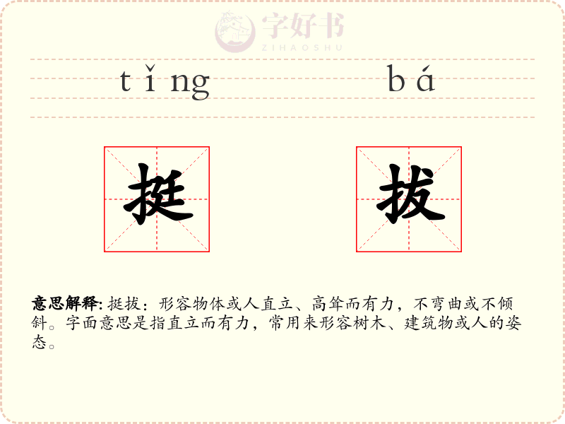 挺拔