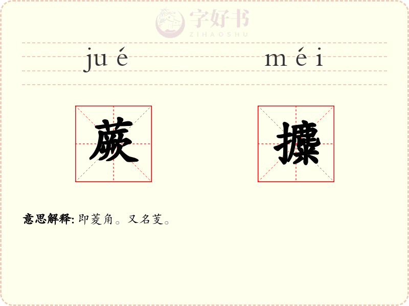 蕨攗