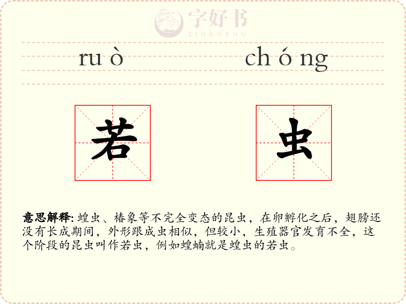 若虫