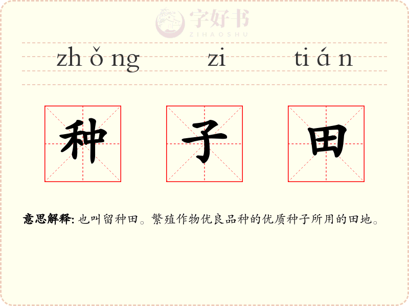 种子田